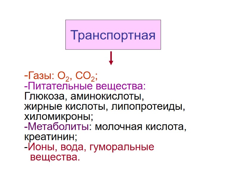 Транспортная -Газы: О2, СО2; -Питательные вещества: Глюкоза, аминокислоты,  жирные кислоты, липопротеиды, хиломикроны; -Метаболиты: